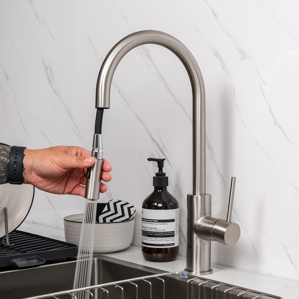 Alma Mira Brushed Nickel Pull Out Mixer