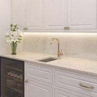 Buildmat Sink Stainless Steel Jeeves 300x450 Single Bowl Butler Sink